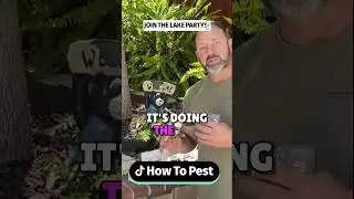How to Wipe Ants Out!🐜 For Good!