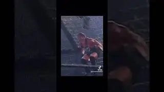 Rob Van Dam