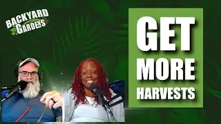 This really will get your more harvests just try it