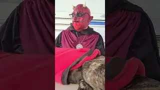 Horror Movie Reviews - Video Shop Tales of Terror 2023