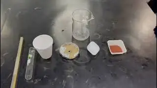 LAB BASIC SCIENCE EXPERIMENT 5 : SPECIFIC HEAT (group4)