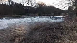 Heringen 3