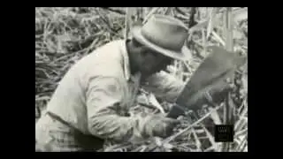 WWAAC Mini Doc - Asians coming to America