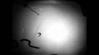 High speed imaging test - 3000fps