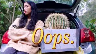 Didn’t plan to spend $300 on a cactus