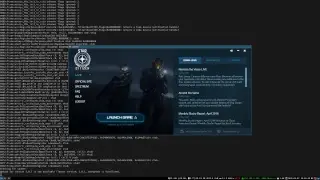Star Citizen on Linux Test