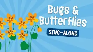 Bugs And Butterflies - School Assembly Song - Sing Along