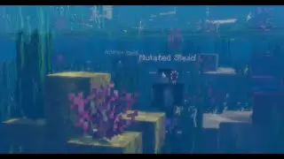 Quick Guide On Squid Armour In The Excavice SMP
