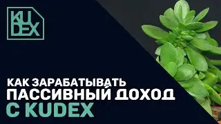Как зарабатывать пассивный доход с Kudex