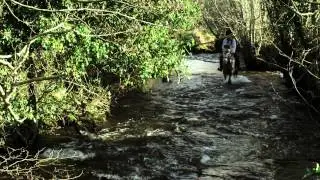 1916 The blood upon the rose  YouTube