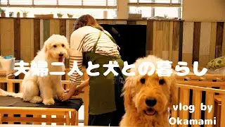 【vlog】パピー犬初めてのトリミング(2024年5月撮影）/暮らしのvlog / 犬との暮らし/  アラフィフ夫婦と大型犬の暮らし