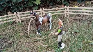 CrazyCaisy - Eine Ausbildung &uuml;ber&acute;s Western reiten 🤠🐎 (Teil 1) -Geschichten mit Schleich-Pferden-