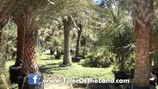 Tiller Of The Land, Lacombe, LA - TV Commercial
