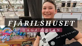 Fjärilshuset Haga Ocean