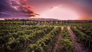 Maison Blue Wines | established in 1995 in the McLaren Vale region of South Australia~