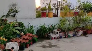 TERRACE GARDEN OVERVIEW- Part 1