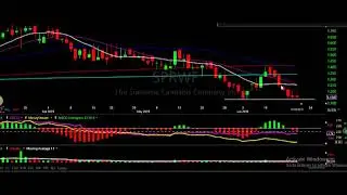 Cannabis Stock SPRWF