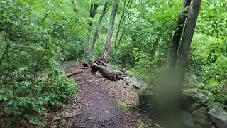 Whipple Hill & Arlington Reservoir & The Great Meadow Trail Run