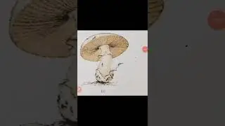Biology ncert Diagrams। kingdom fungi।#biologyncert #neetbiology #kingdomfungi