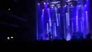 Lotusvibes