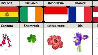 Flower from different countries | national flower from different countries @information0842