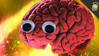 What is your brain not telling you? - Epic Science #73