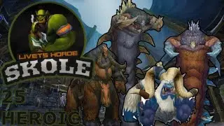 Northrend Beasts 25HC - ENH SHAM POV