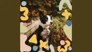 Smart Cozy Dogs
