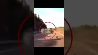 This driver missed their exit&hellip; and paid the price 😳 #CarCrash #Dashcam #baddriving