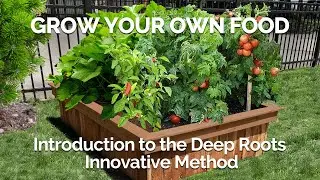 Grow Your Own Food: Introduction to the Deep Roots Innovative Method