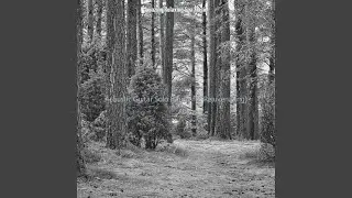 Simplistic Music for Rivers and Streams