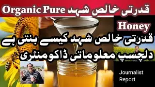 Honey Bees Swarm a Journalist During Live Report | organic honey|  Honey Bees dangerous
