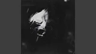 Dear Misery