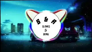 S & R - Picture I Paint ft. Badda TD || No Copyright ✔️ || SloweD & RemiX