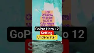 GoPro hero 12 Underwater Setting/RedSea Diving