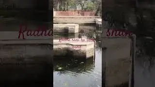 Radha Rani's bathing pond 🙏#explore #travel #love #virndavan #ytshorts #shorts