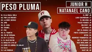 Peso Pluma, Natanael Cano, Junior H - Grandes éxitos Mix 2024 - LAS MEJORES CANCIONES 2024