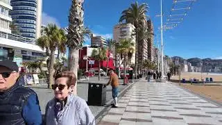 A very short walk for our next drink from the guiness bar to the white lion Benidorm 28th Jan 2026