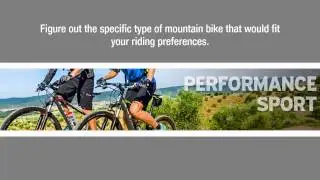 Ivanhoe Cycles: The Most Complete Cycling Shop In Melbourne