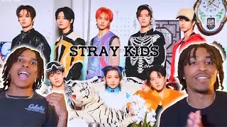 A Simple Guide to Stray Kids | 2023 Edition (FIRST Reaction)
