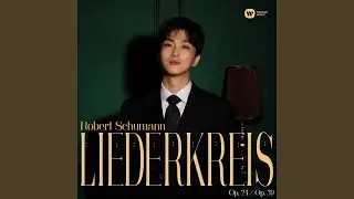 Schumann: Liederkreis, Op.24 - 6. Warte, warte, wilder Schiffsmann