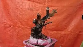 ((đ&atilde; b&aacute;n))M451 ph&ocirc;i kim tiền d&aacute;ng bay 200k lh 0784005295 khi&ecirc;m