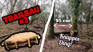 Enger als Gedacht 🤔 Die erste Fahrt!! / Trailbau #3 🪓🪚🔨