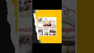 wool fiber/structure of wool/producer of wool/types of wool/end use wool😍