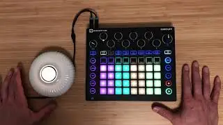 Single Step Circuit by Waveformer - Novation Circuit