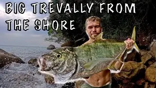 ROCK FISHING MALAYSIA || BIG TREVALLY SMASHES MY POPPER
