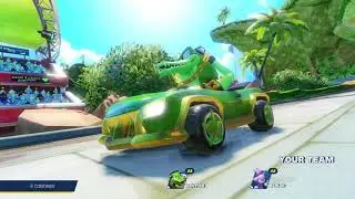 Team Sonic Racing - Team Vector - Silver