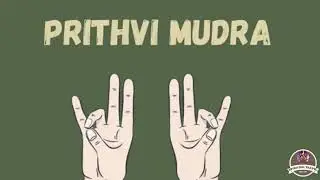Powerful Finger Mudras for Health & Energy 🔥 | Easy Hand Yoga for Everyone | Yoga Secrets