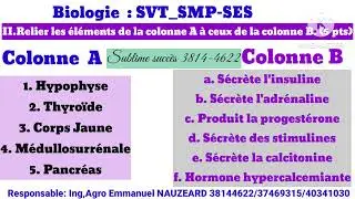 Biologie SVT: CORRECTION EXAMEN: CHROMOSOME 2024: Bac permanent et Bac unique 👌pa al konpoze san yo.