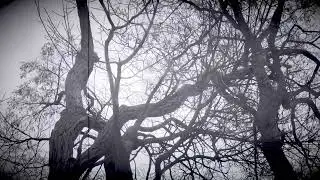 Too Early #leftfield #frenchtouch #breakbeat #downtempo #house